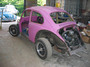 pinkshell1 gallery.JPG
